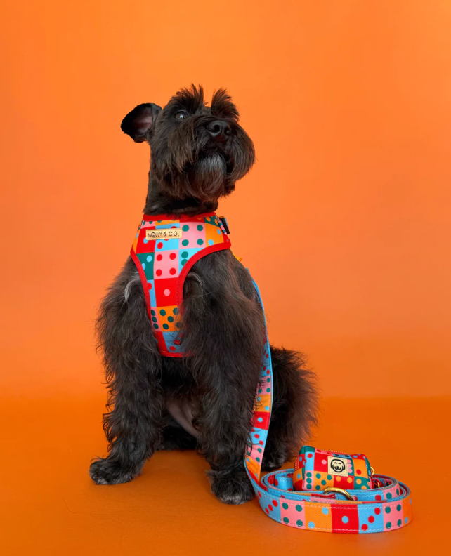 Doble Seis - Dog Poop Bag Holder