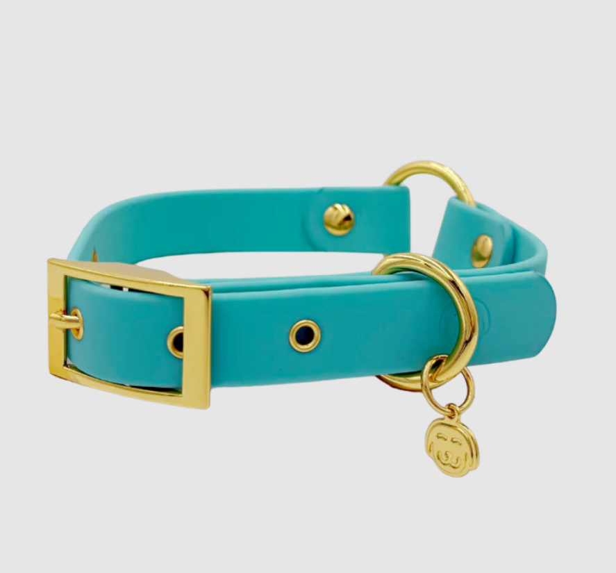 Molly - Splashproof Dog Collar