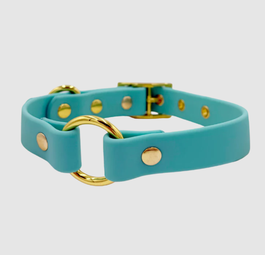 Molly - Splashproof Dog Collar