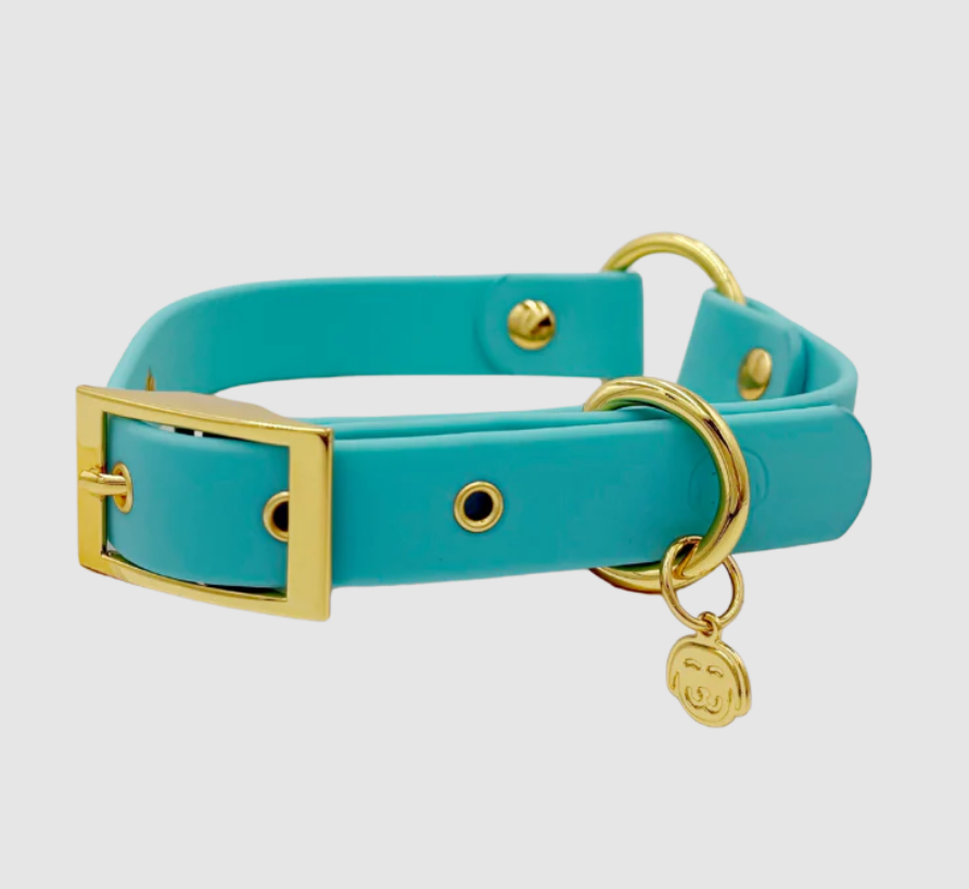 Molly - Splashproof Dog Collar