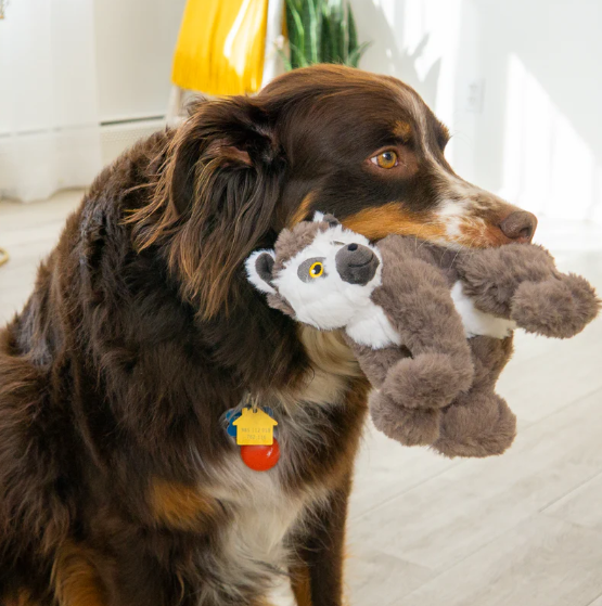 KONG Scampers Lemur Medium