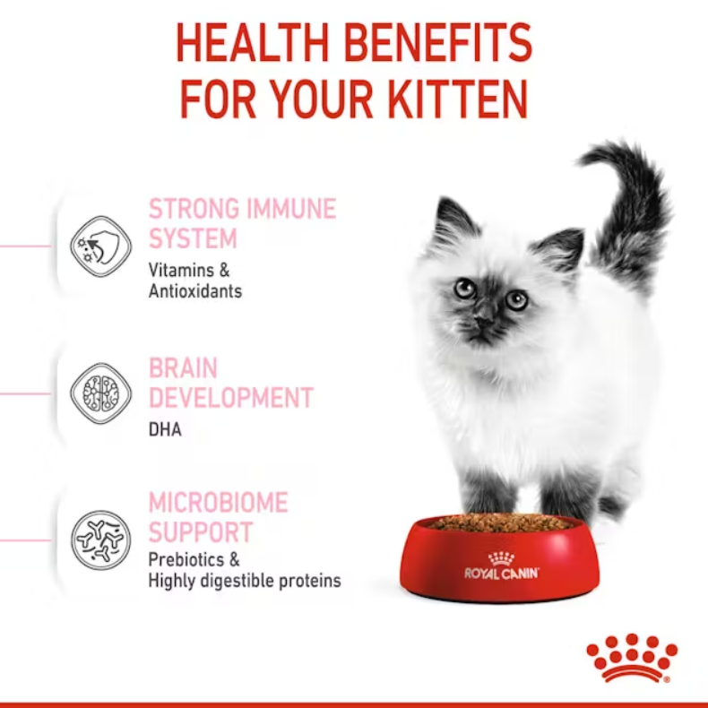 Kitten Dry Cat Food