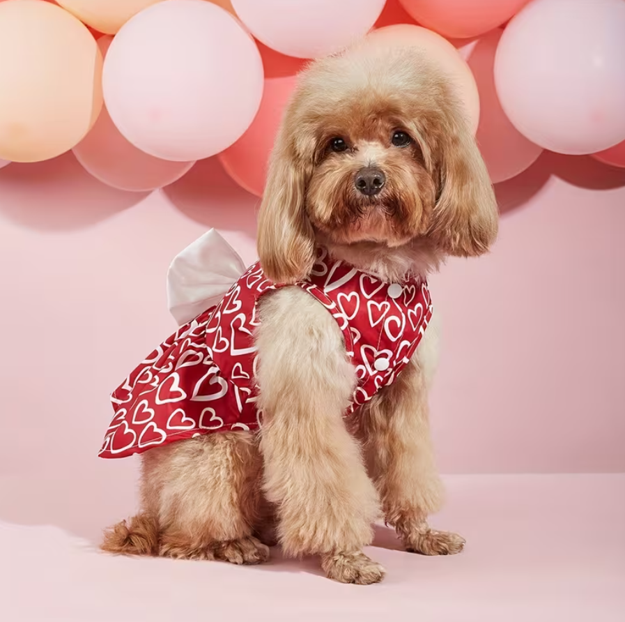 Dress Heart- Withe Bow