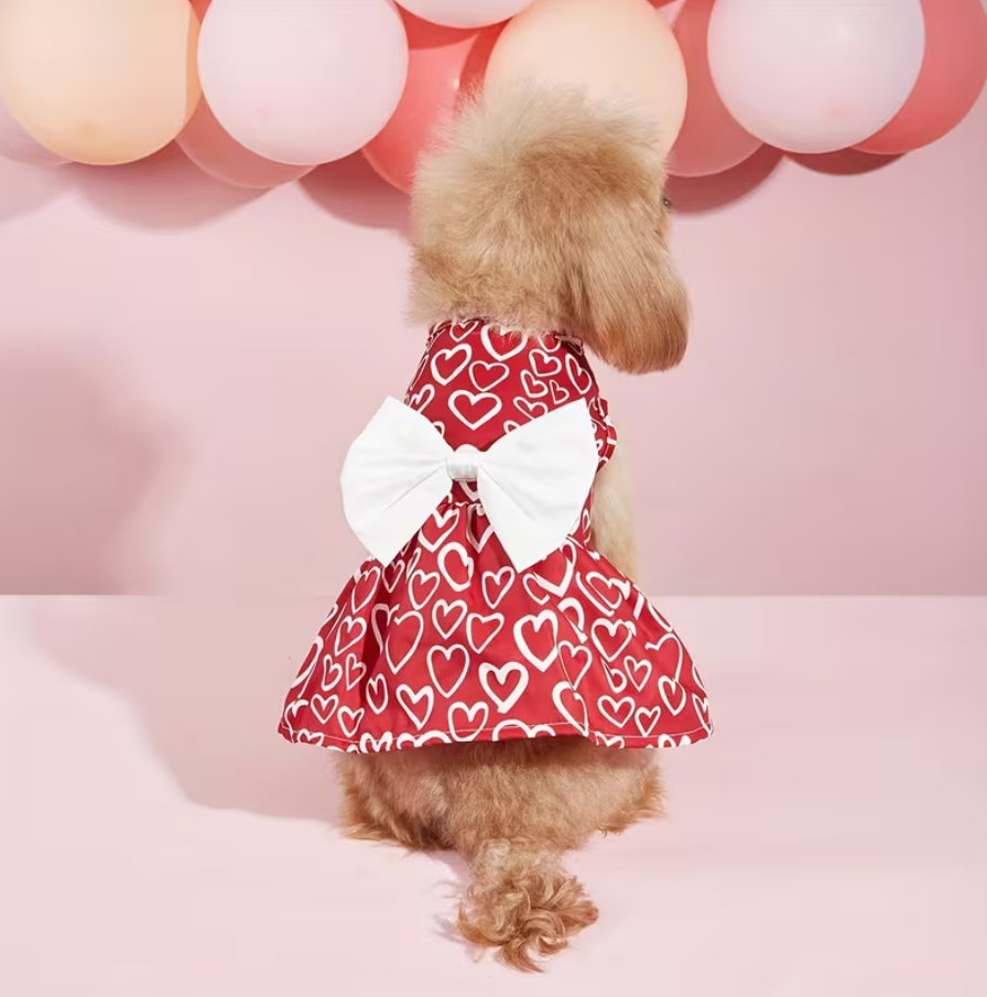 Dress Heart- Withe Bow