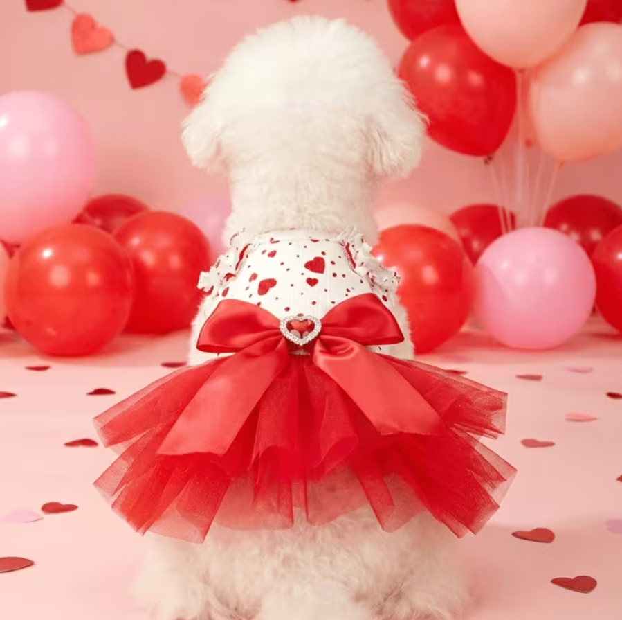 Dress Princes Heart - Ruby