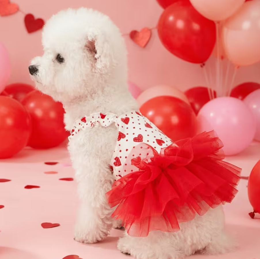 Dress Princes Heart - Ruby