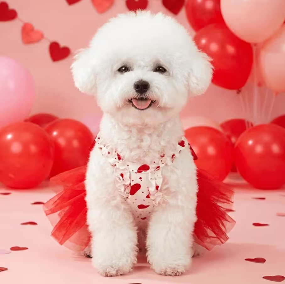 Dress Princes Heart - Ruby