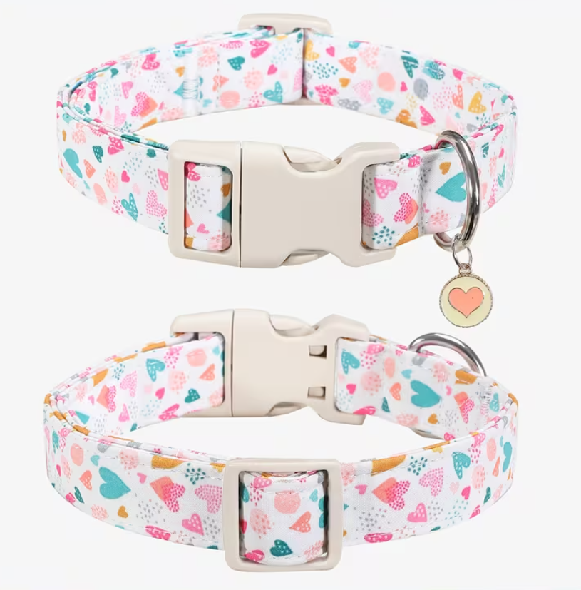 Collar with Heart