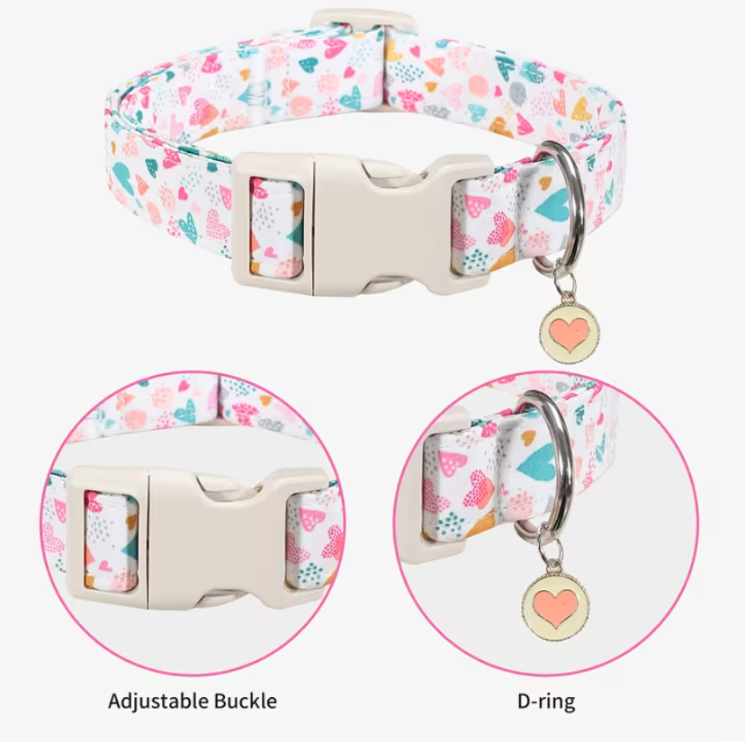 Collar with Heart