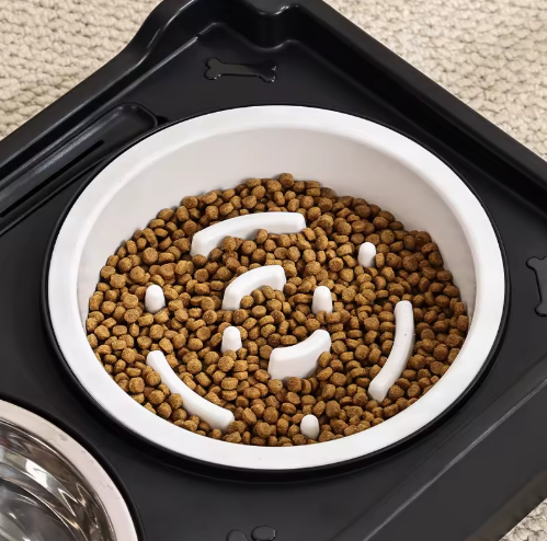 Elevated Feeding Bowl Dog