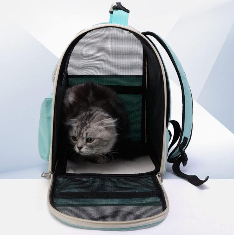 Cat Bag Travel