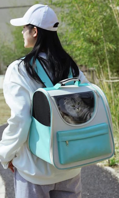 Cat Bag Travel