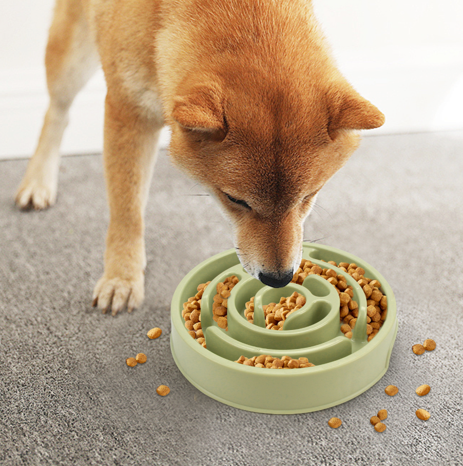Slow Feeder Dog Bowl