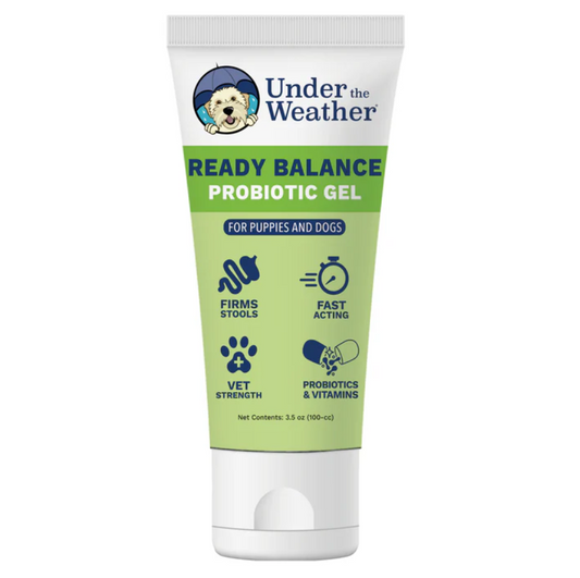 Ready Balance Probiotic Squeezable Gel For Dogs