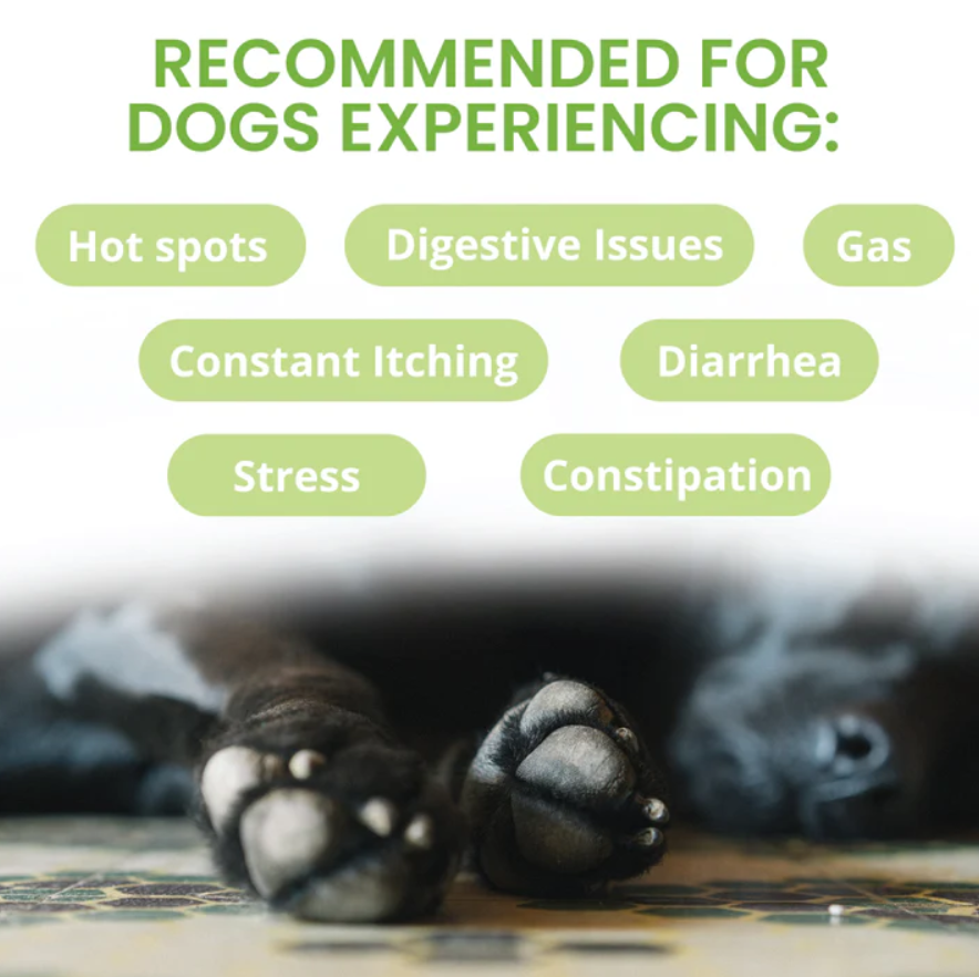 Ready Balance Probiotic Squeezable Gel For Dogs
