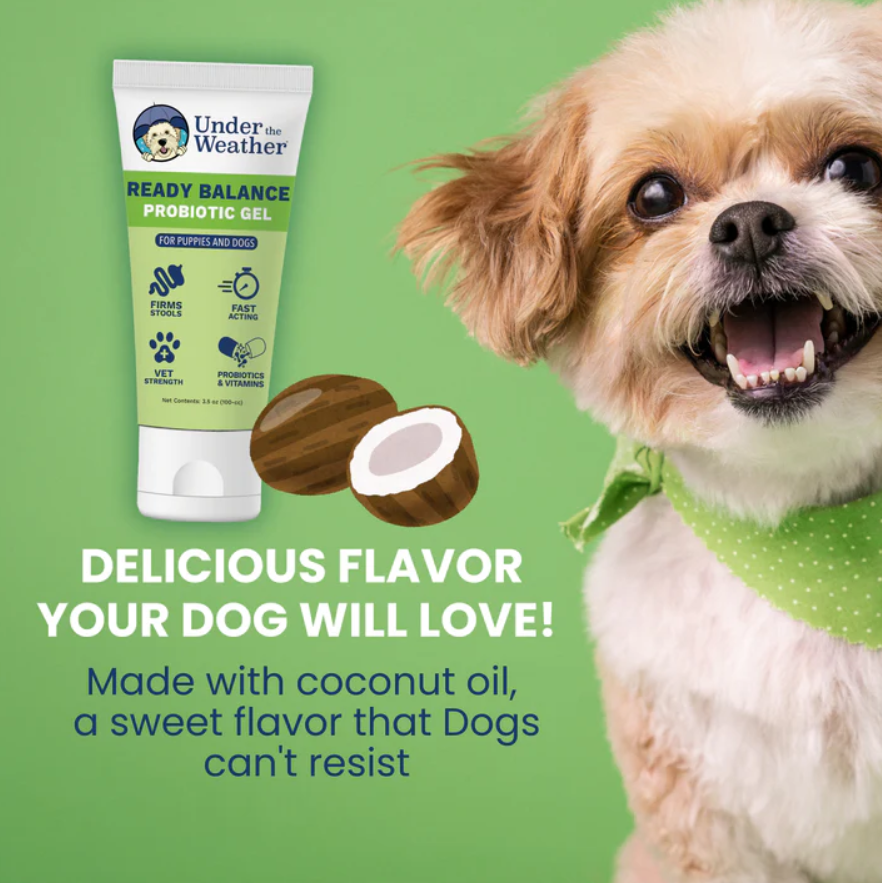 Ready Balance Probiotic Squeezable Gel For Dogs