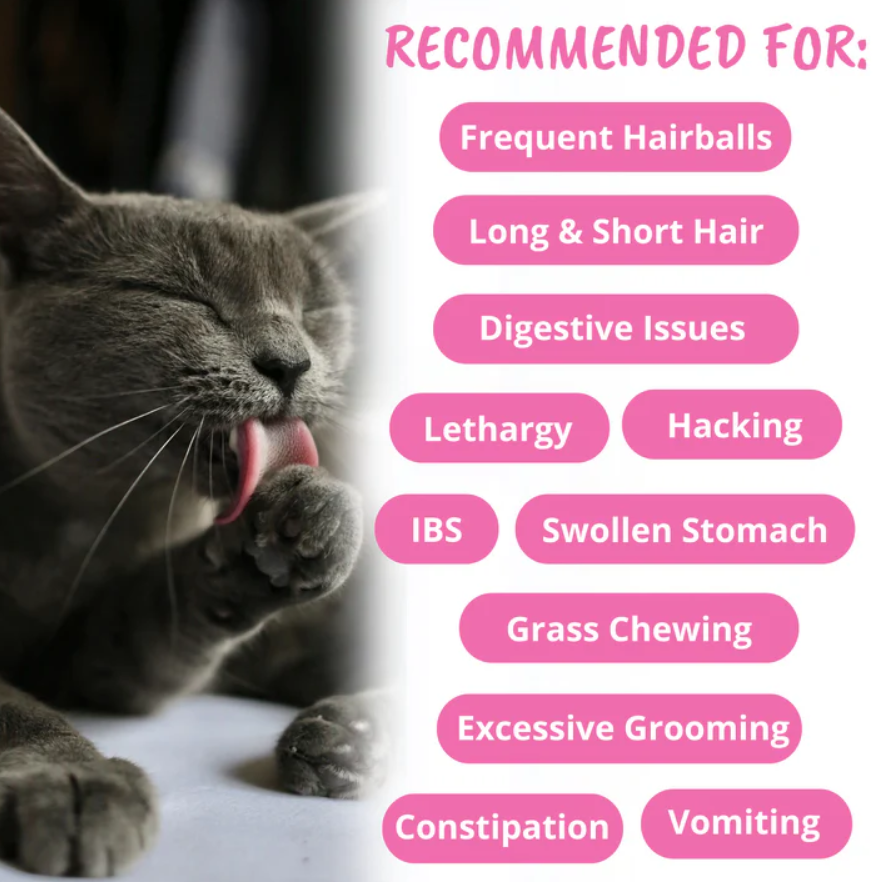 Hairball Support Soft Chews for Cats