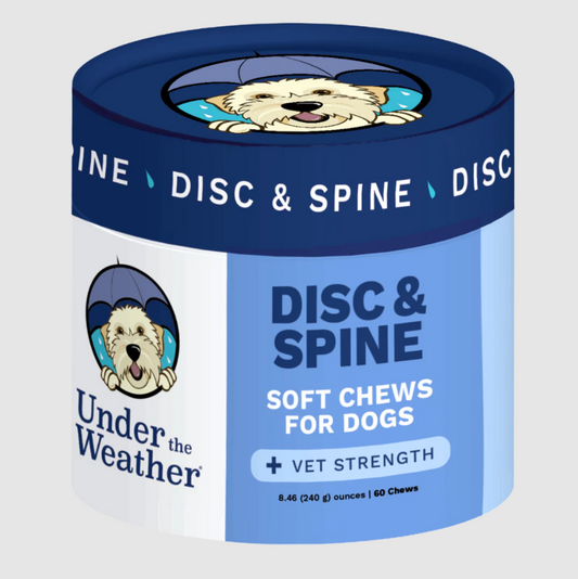 Support Their Spine, Protect Their Happiness