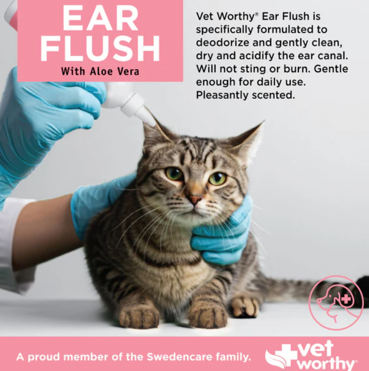 Ear Flush Cat 4oz