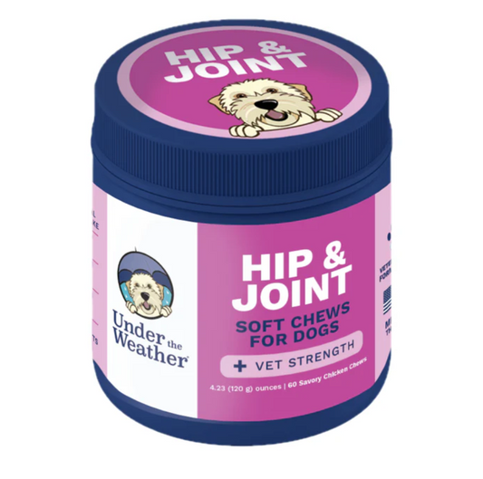 Hip and Joint Mobility Support Chews for Dogs