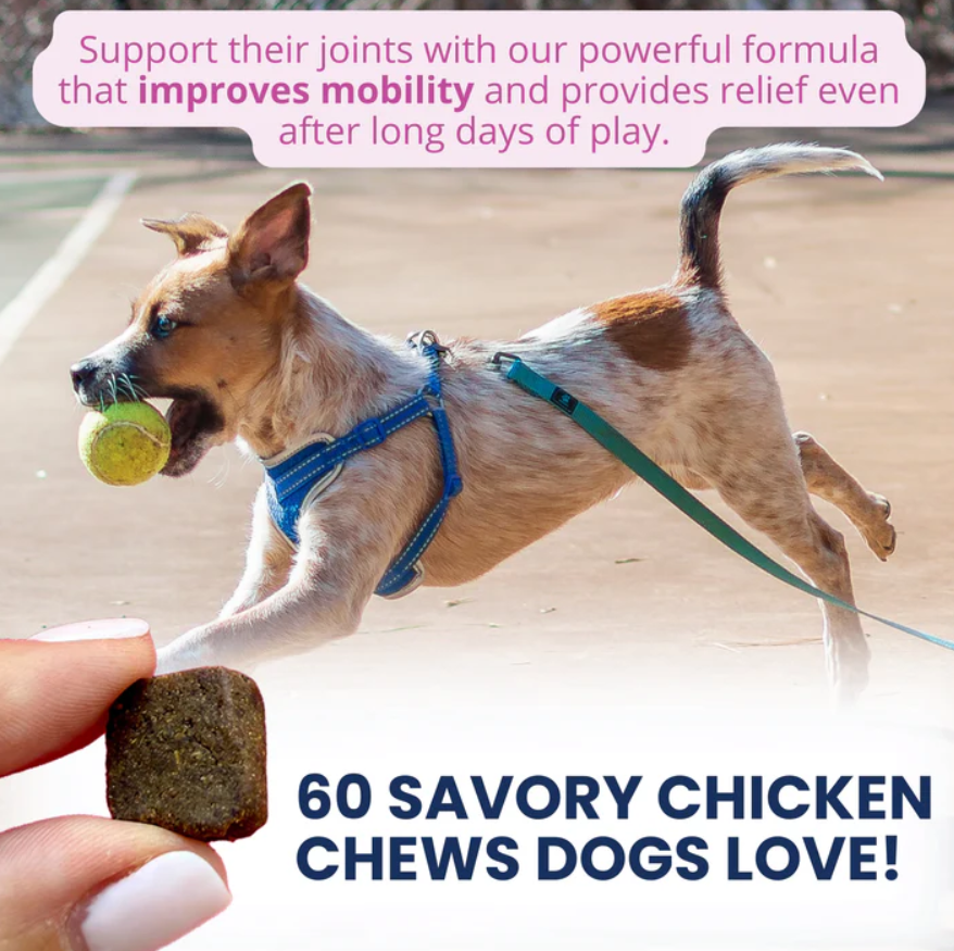 Hip and Joint Mobility Support Chews for Dogs