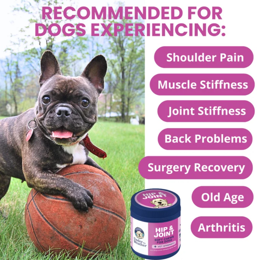 Hip and Joint Mobility Support Chews for Dogs
