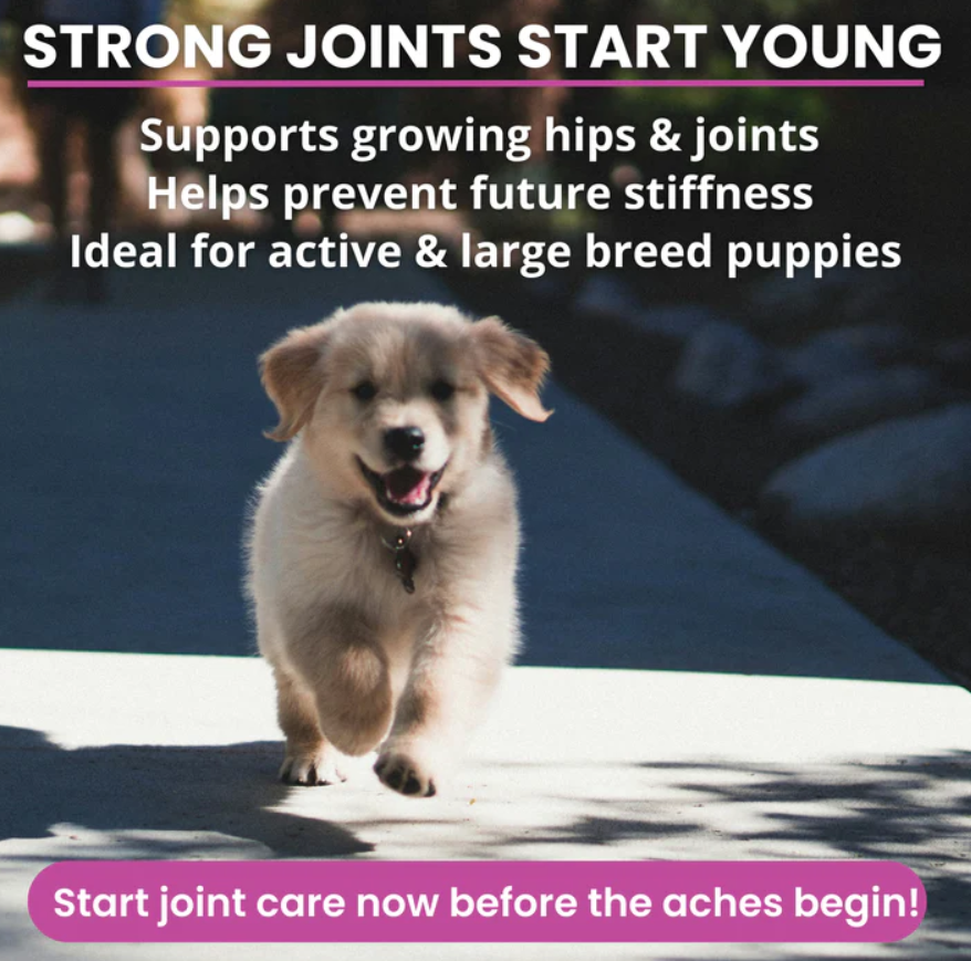 Hip and Joint Mobility Support Chews for Dogs