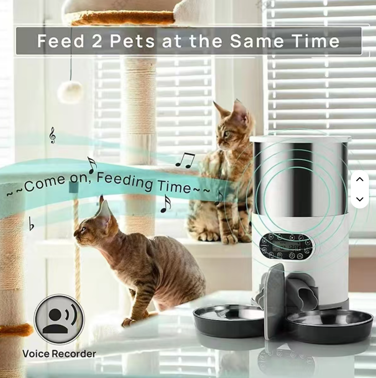 Stainless Steel Automaticpet Feeder With Two-Way Splitter
