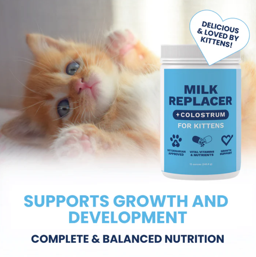 Milk Replacer for Kittens + Colostrum