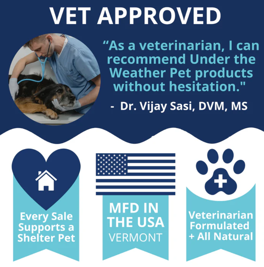 Milk Replacer for Kittens + Colostrum