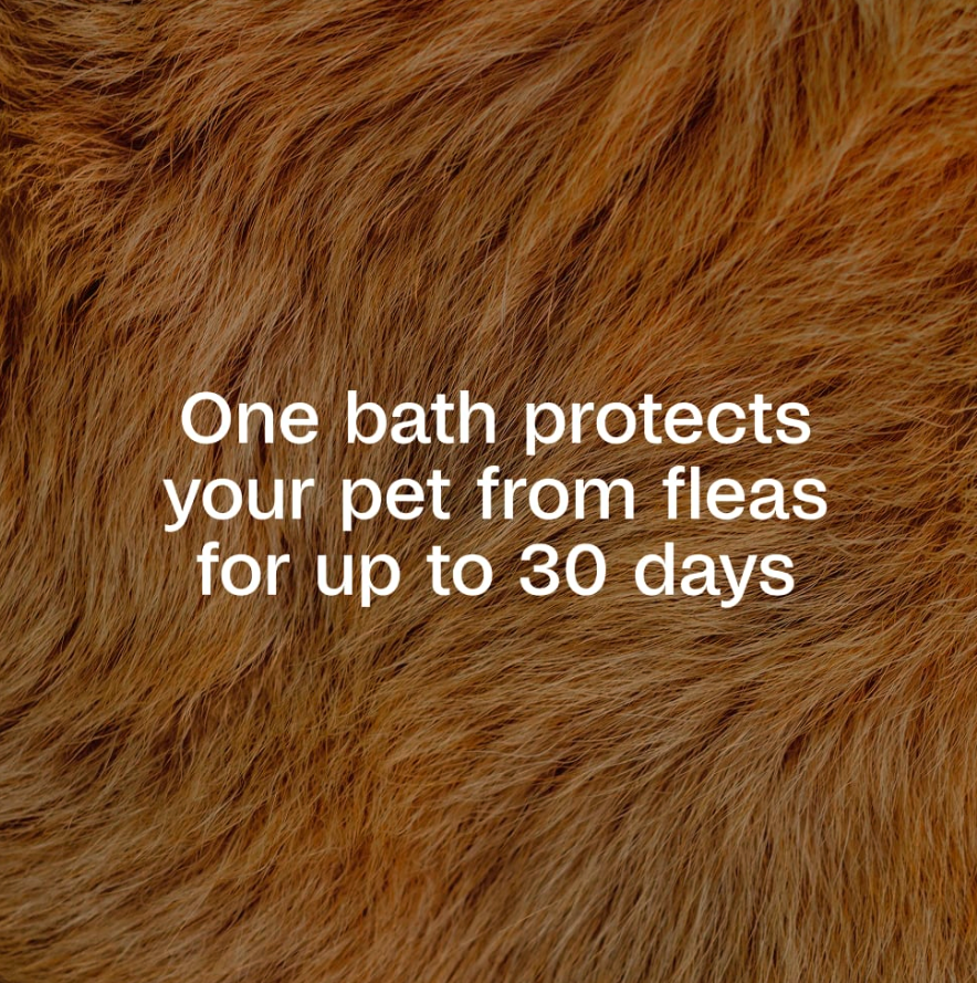 ADAMS™ Flea & Tick Cleansing Shampoo for Dogs and Cats