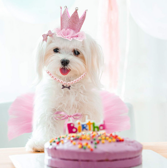 Princess B Day Pawtty