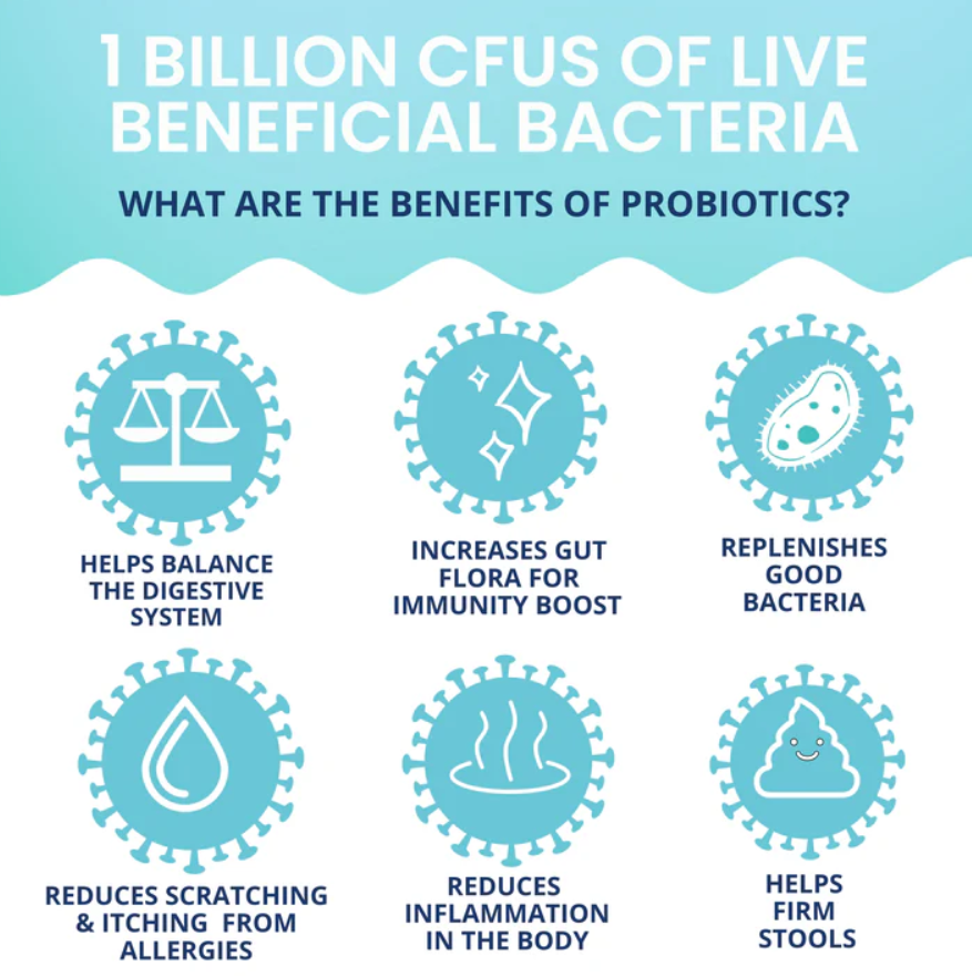 Probiotic Chews for Dogs