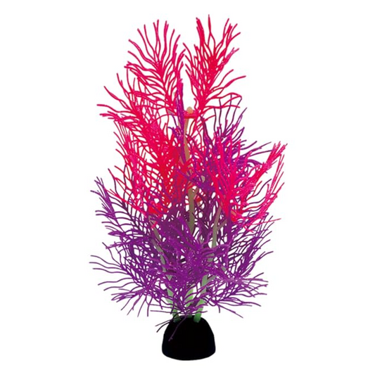 Silicon Decor, Sea Weed