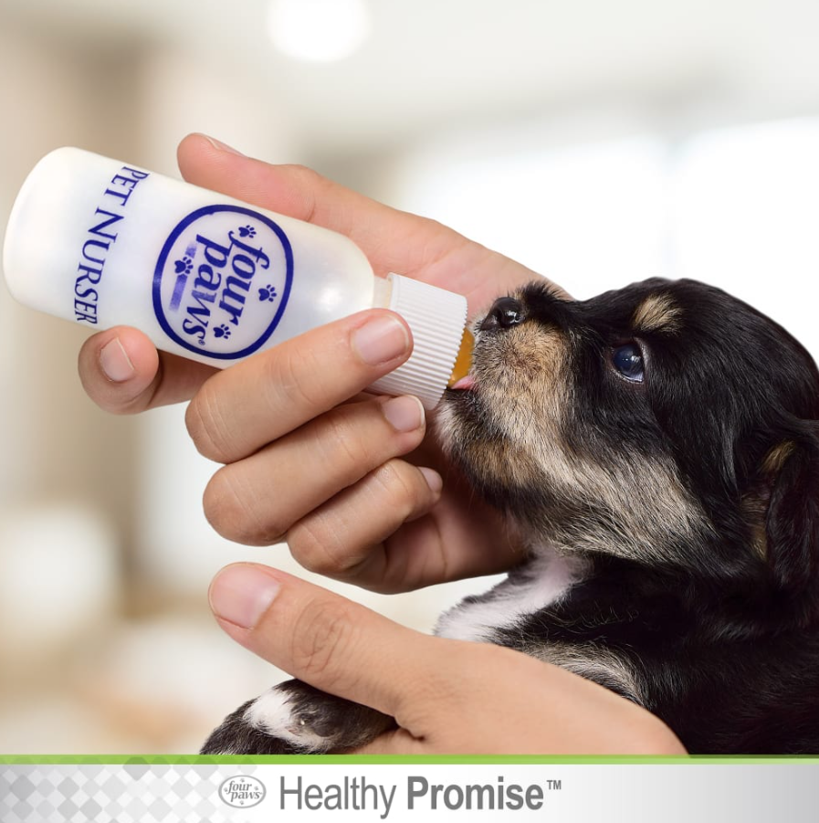 Pet Nursing Kit - Bottle and Brush