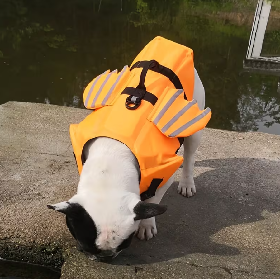 Salvavidas para Perros - Dog  Life Jacket Dragon