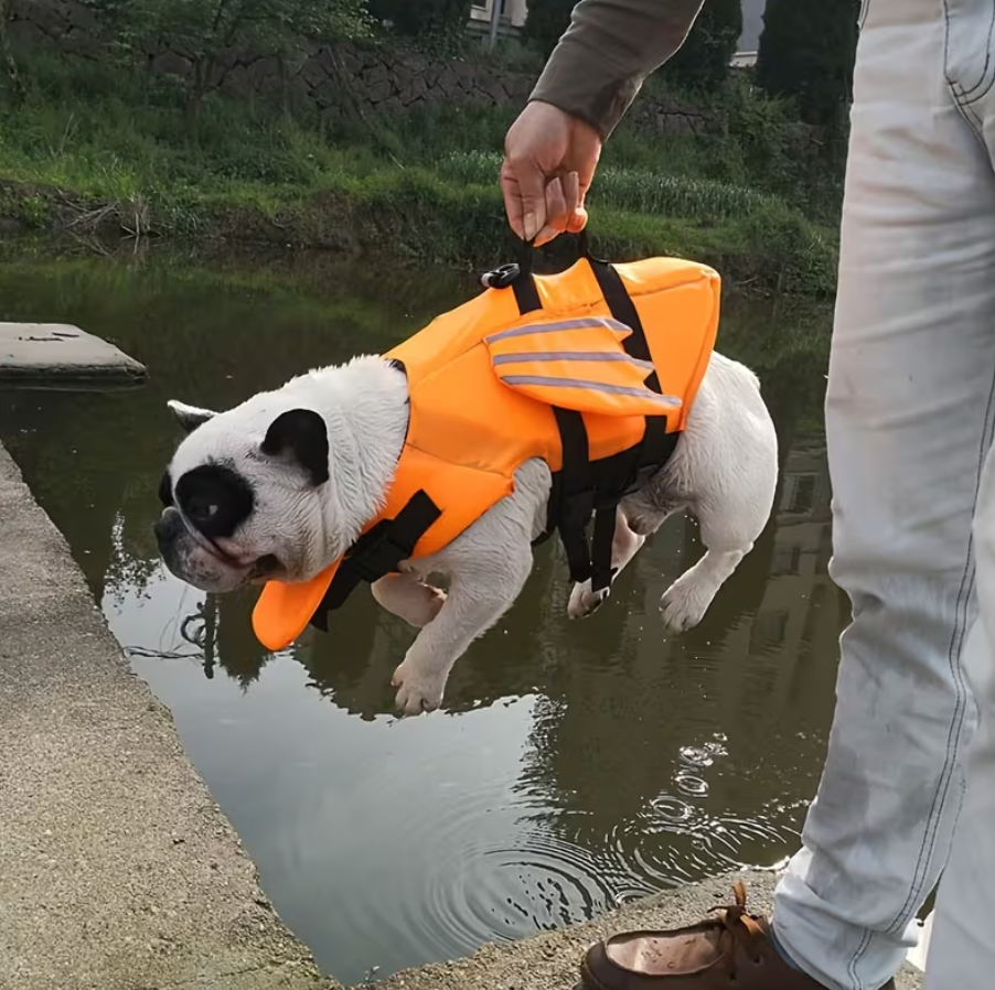 Salvavidas para Perros - Dog  Life Jacket Dragon