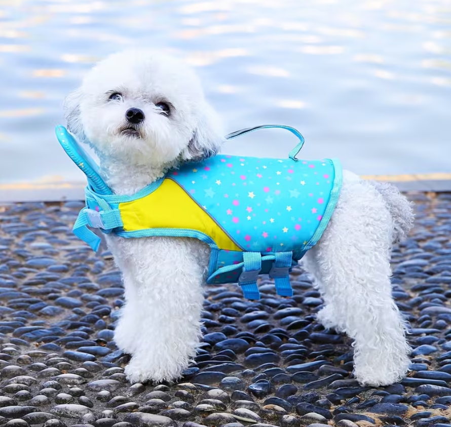 Salvavidas para Perros Estrellas Dog Life Jacket Stars