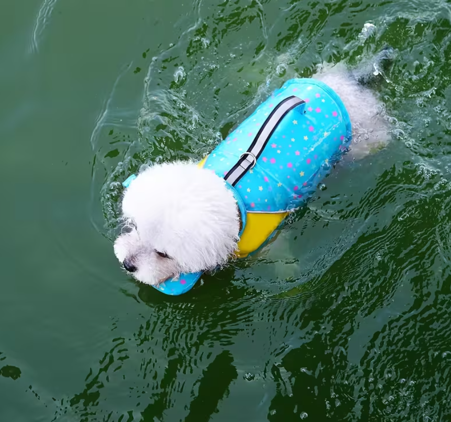 Salvavidas para Perros Estrellas Dog Life Jacket Stars