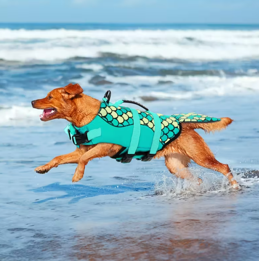 Salvavidas para Perros Sirrena Print Dog Life Jacket Mermaid Print