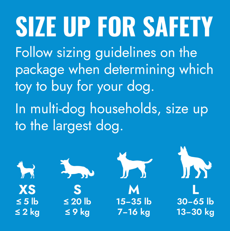 KONG Puppy Medium