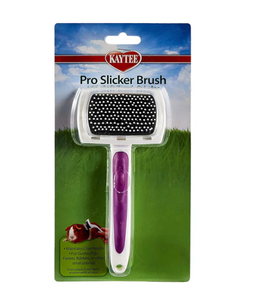 Kaytee Pro-Slicker Brush for Small Animals