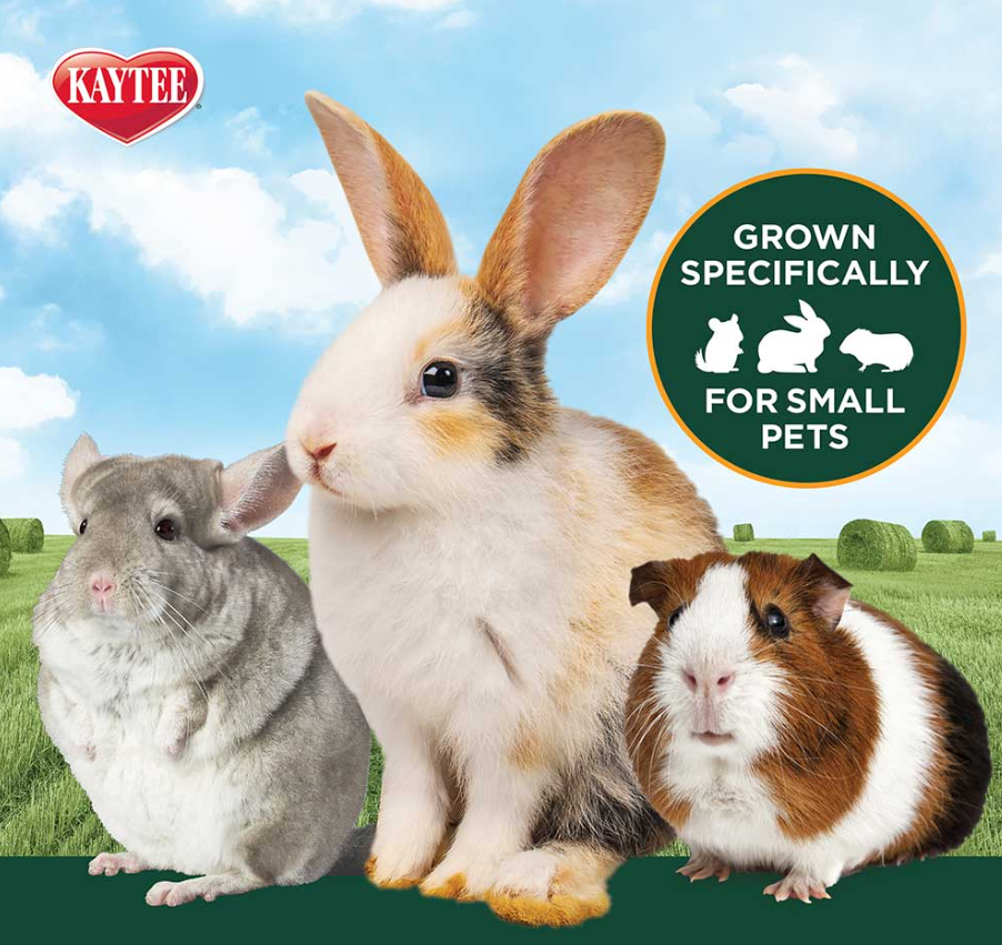 Kaytee Timothy Hay Plus Carrots