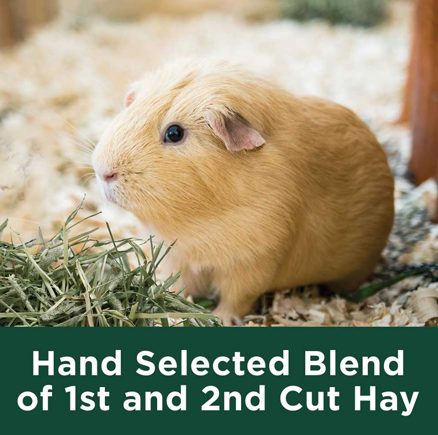 Kaytee Timothy Hay Plus Carrots
