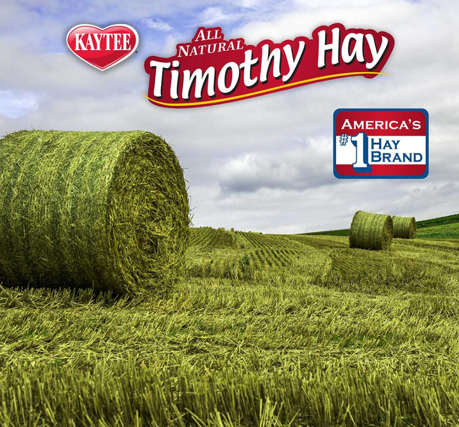Kaytee Timothy Hay Plus Carrots