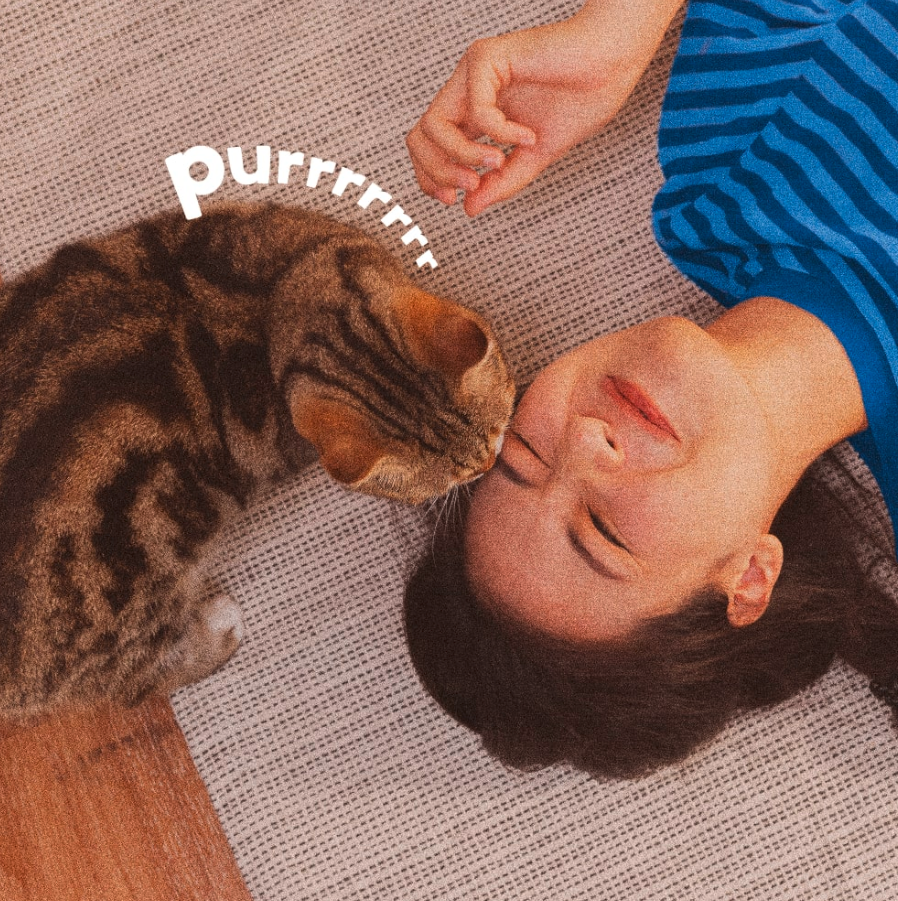 ADAMS™ Plus Flea & Tick Spot On for Cats