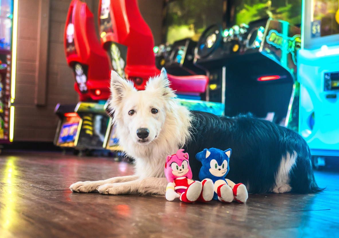 Multipet Sonic the Hedgehog Amy Rose Plush 10" Dog Toy
