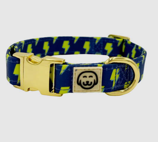 Molly & Co. Bolt - Adjustable Dog Collar