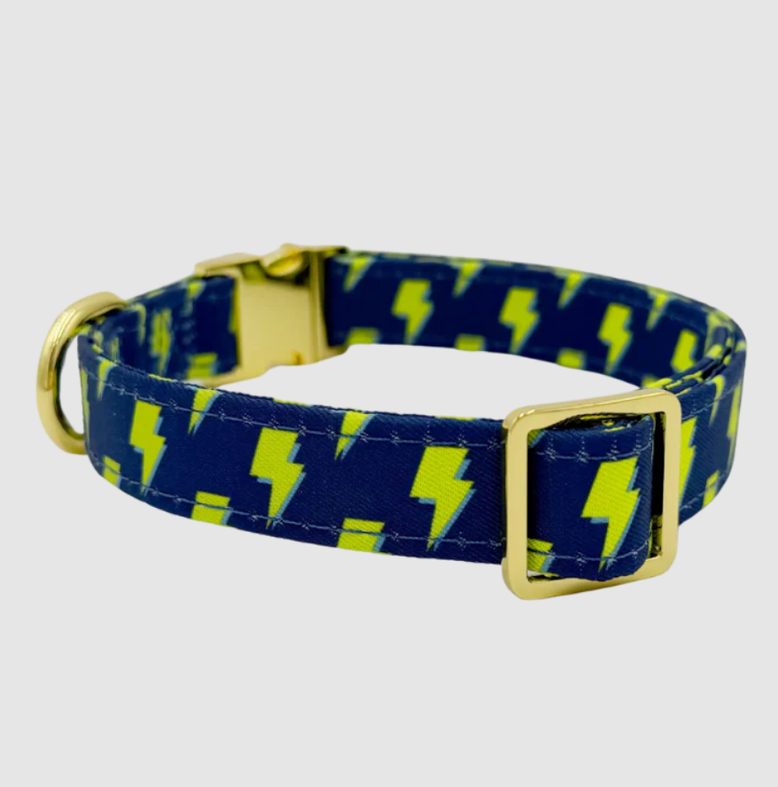 Bolt - Adjustable Dog Collar