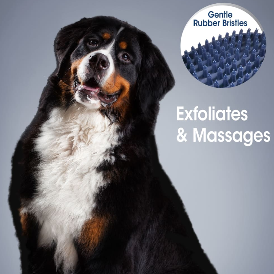 Magic Coat Professional Series All-in-One Wet & Dry Brush for Dogs